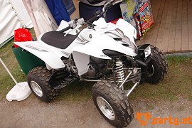 Bild 51