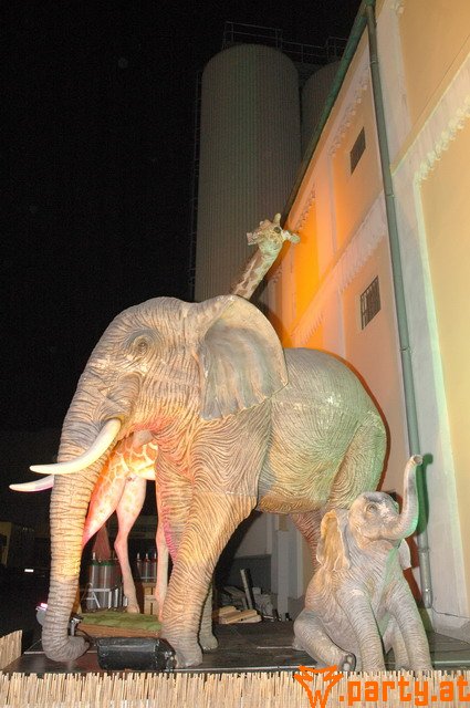Bild 149