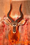 Bild 56