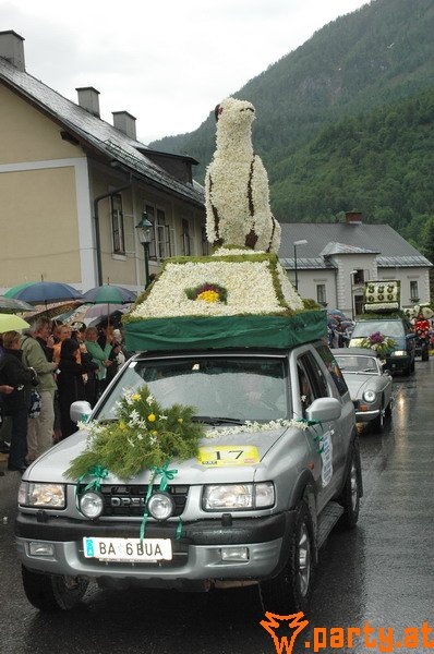 Bild 50