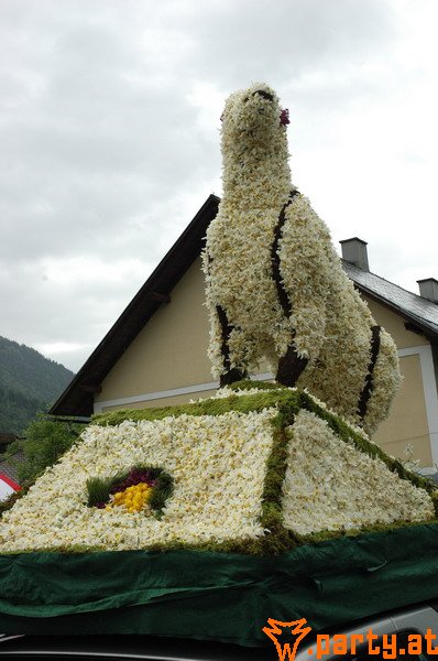 Bild 51