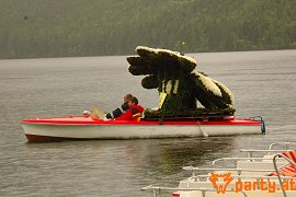 Bild 36