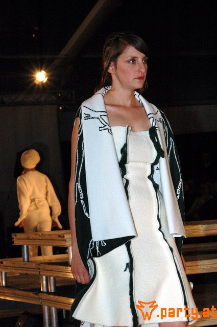 Bild 247
