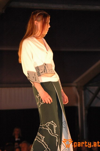 Bild 248