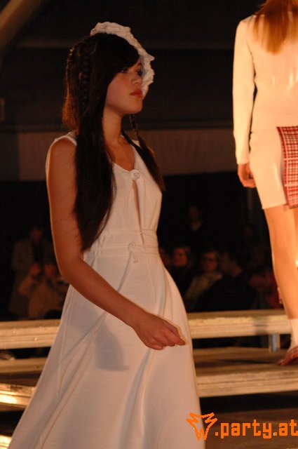 Bild 262