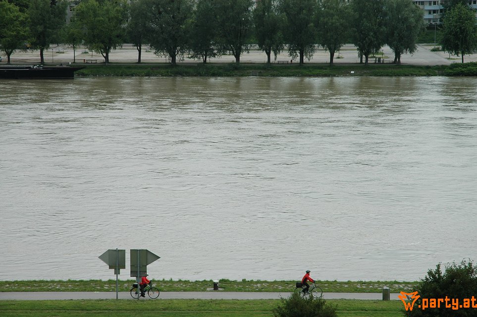 Bild 201