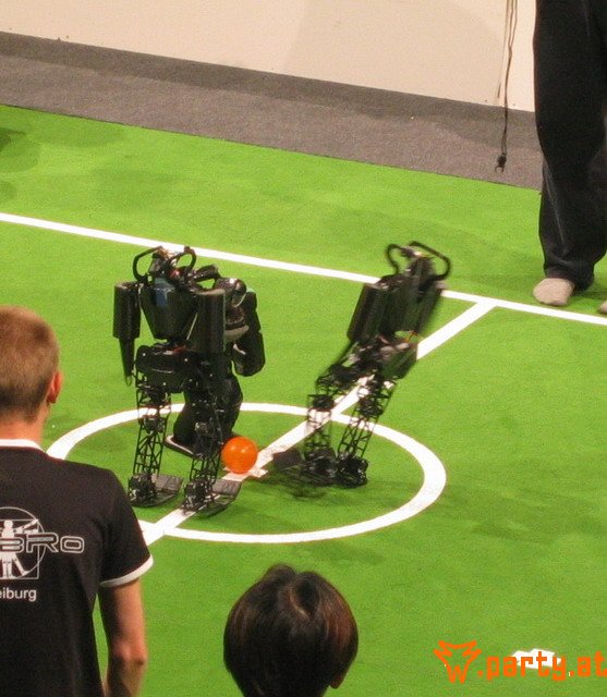 Bild 31