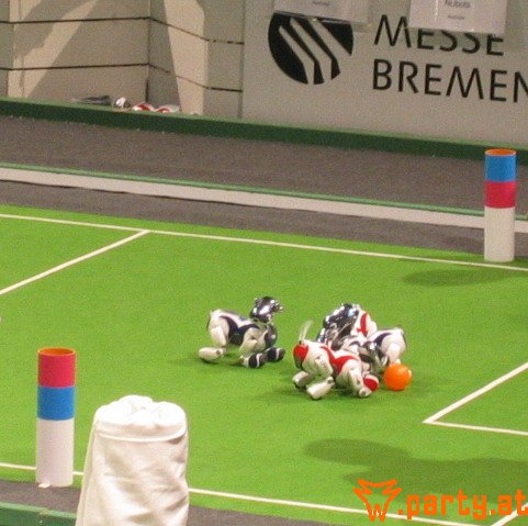 Bild 49