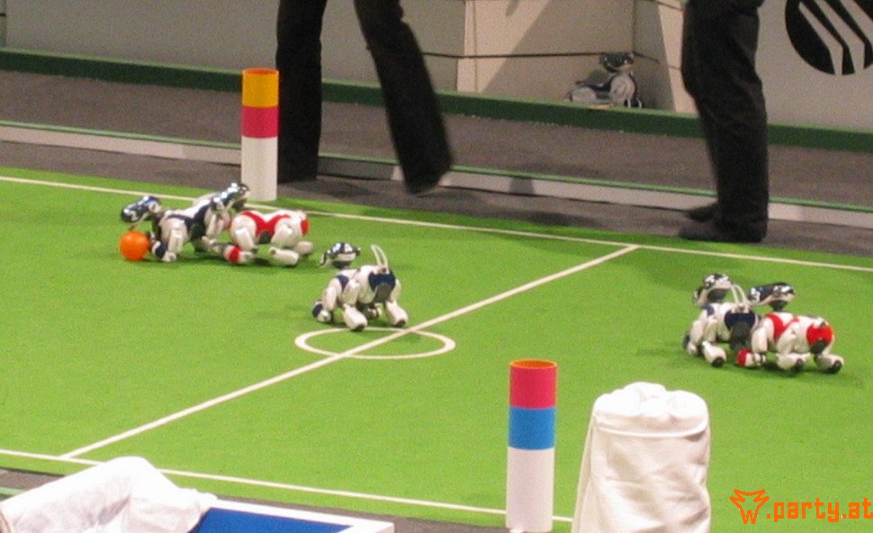 Bild 55