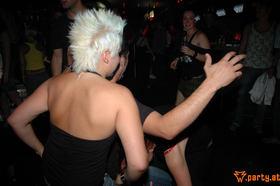 Bild 95