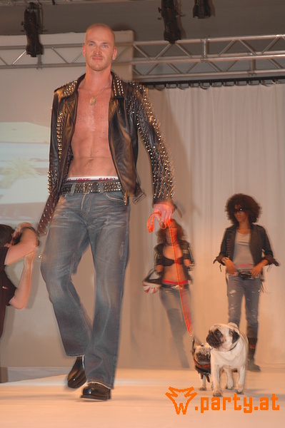 Bild 132