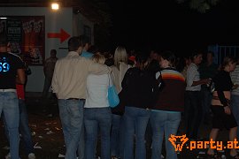 Bild 223