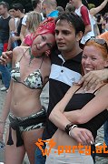 Bild 195