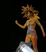 Bild 237