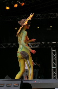 Bild 238