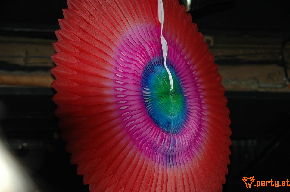 Bild 81