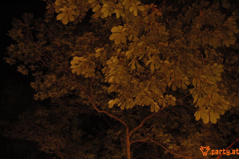 Bild 73