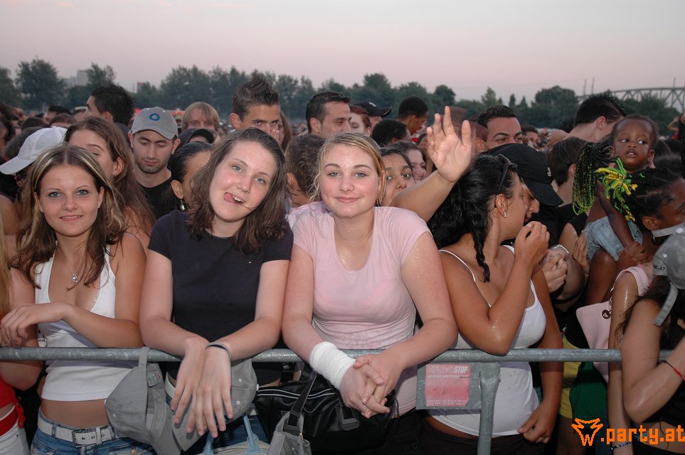 Bild 171