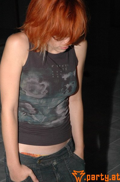 Bild 15