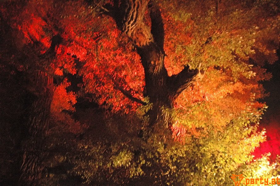 Bild 32