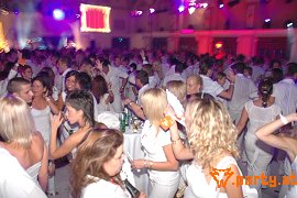 Bild 64