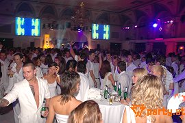 Bild 65