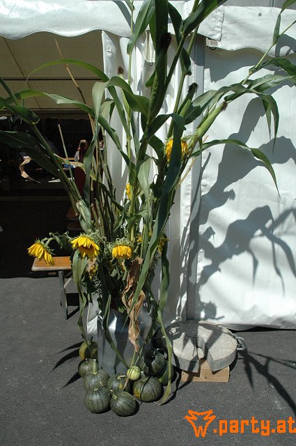 Bild 138