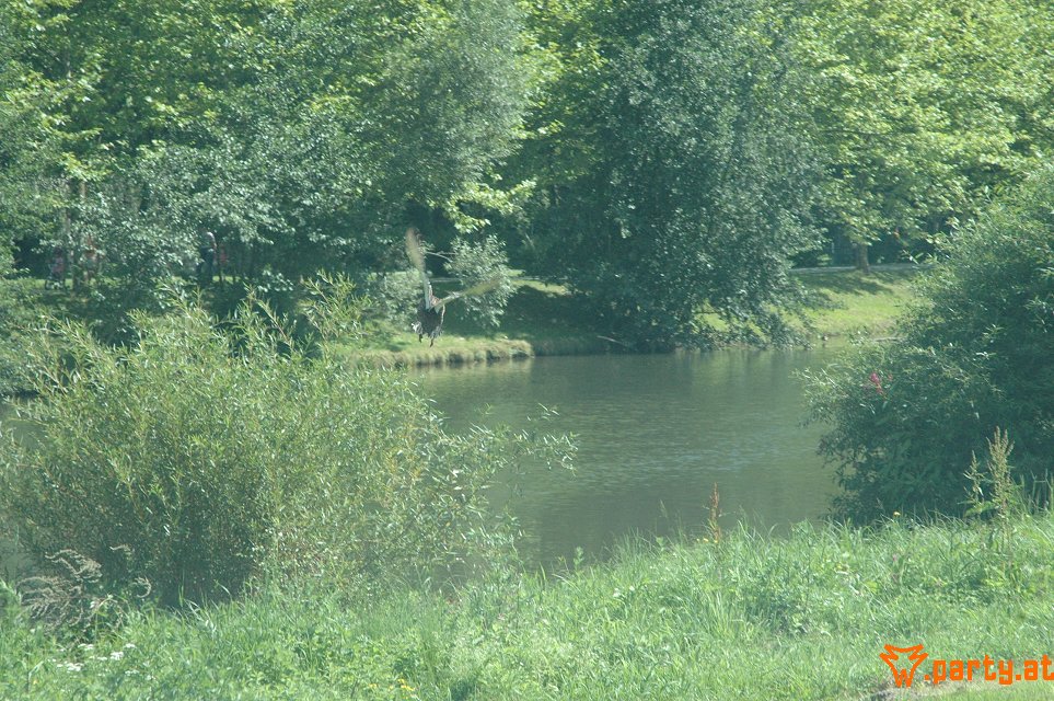 Bild 192