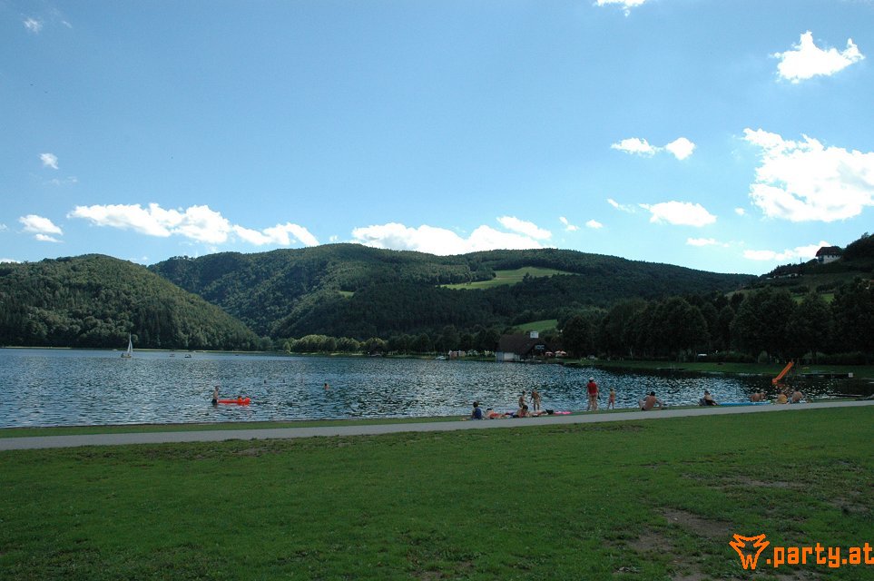Bild 204