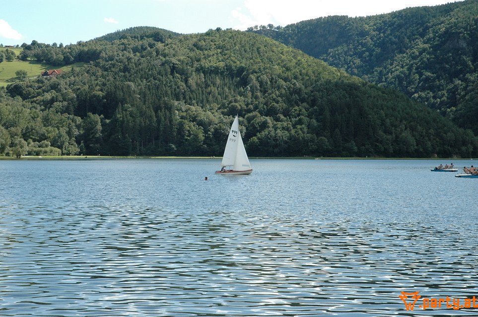 Bild 215