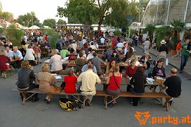 Bild 36