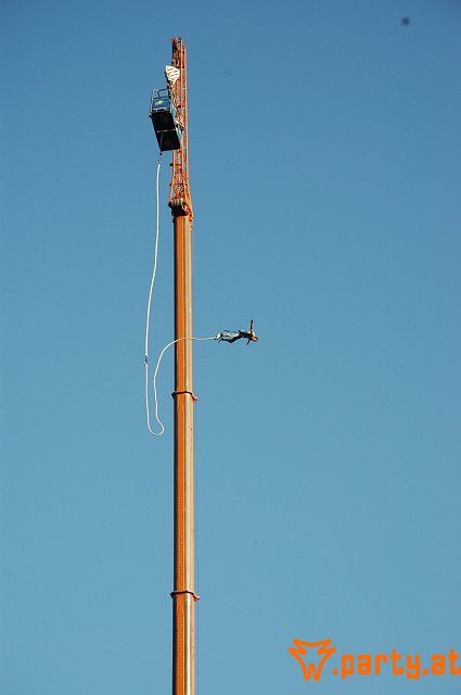 Bild 220