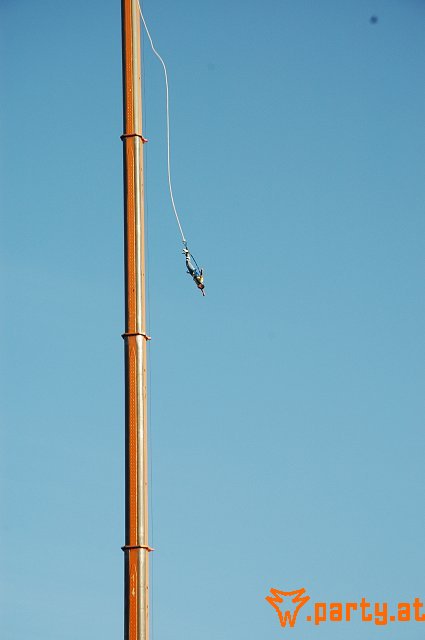 Bild 223