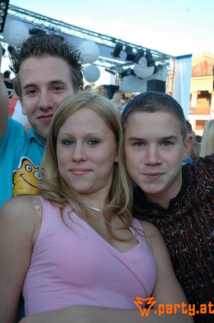 Bild 347