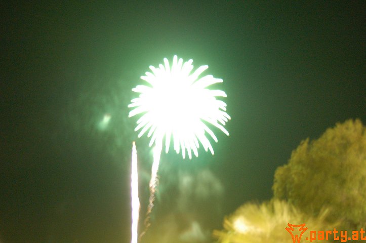 Bild 38