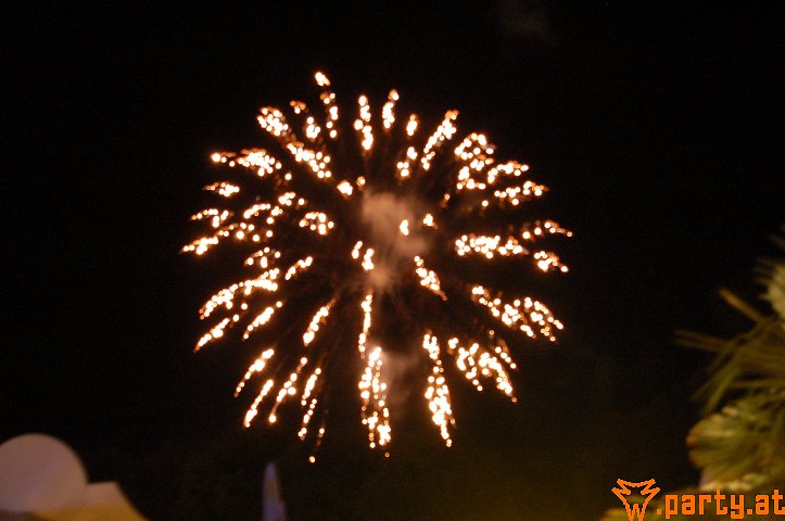 Bild 40
