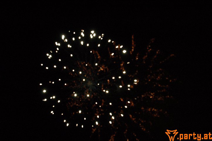 Bild 41