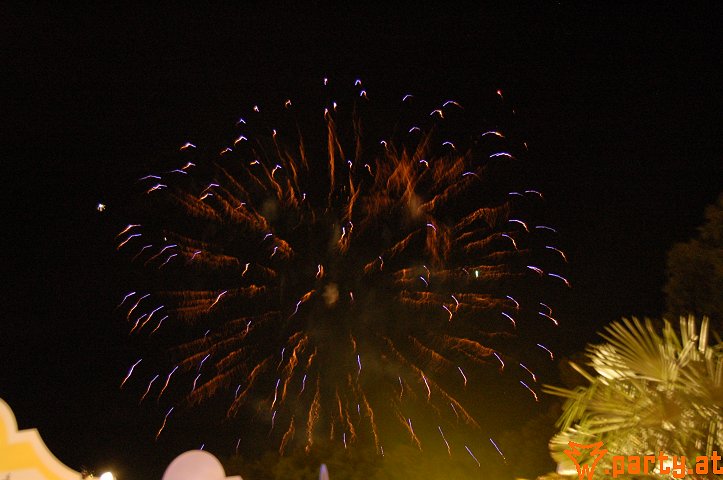 Bild 50
