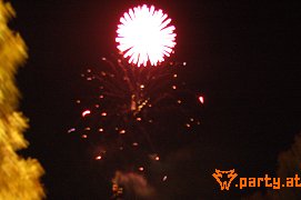 Bild 31