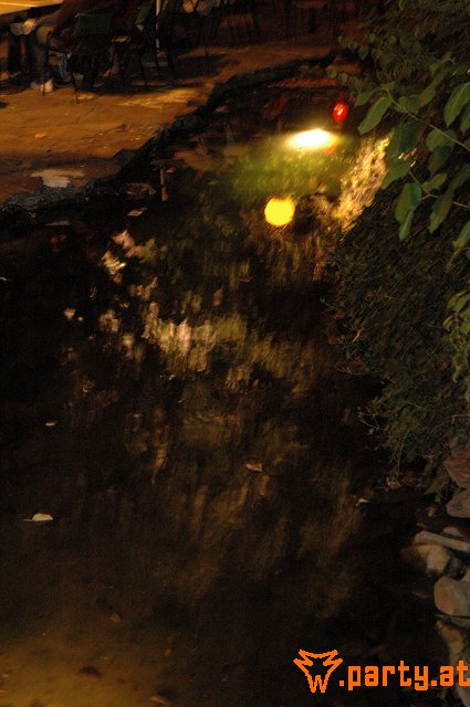 Bild 32