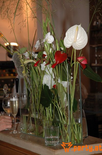 Bild 22