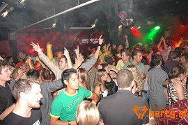 Bild 95