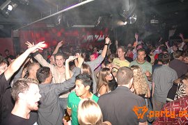 Bild 96