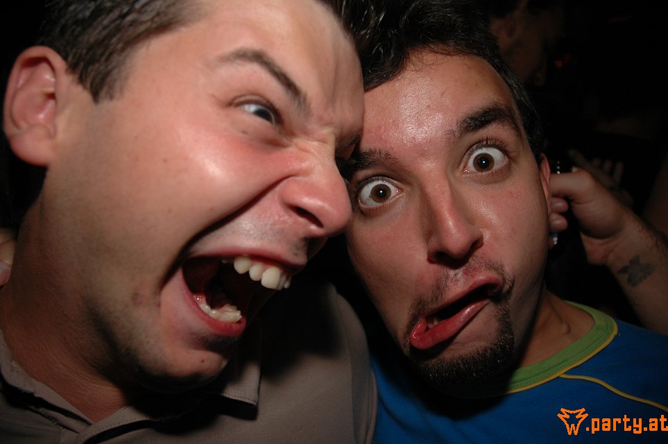 Bild 33
