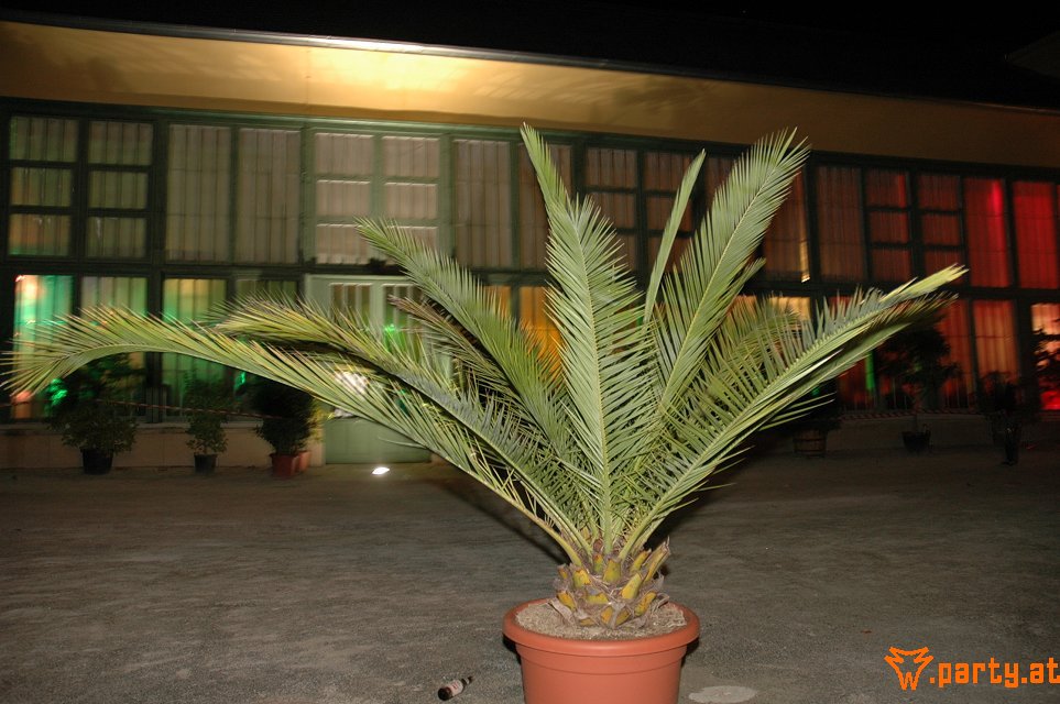 Bild 276
