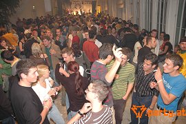 Bild 277