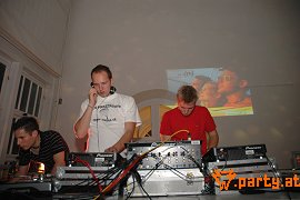 Bild 294