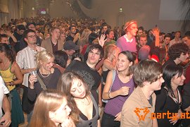 Bild 313