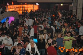 Bild 113