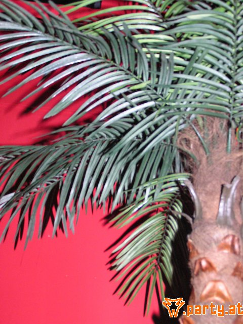 Bild 82